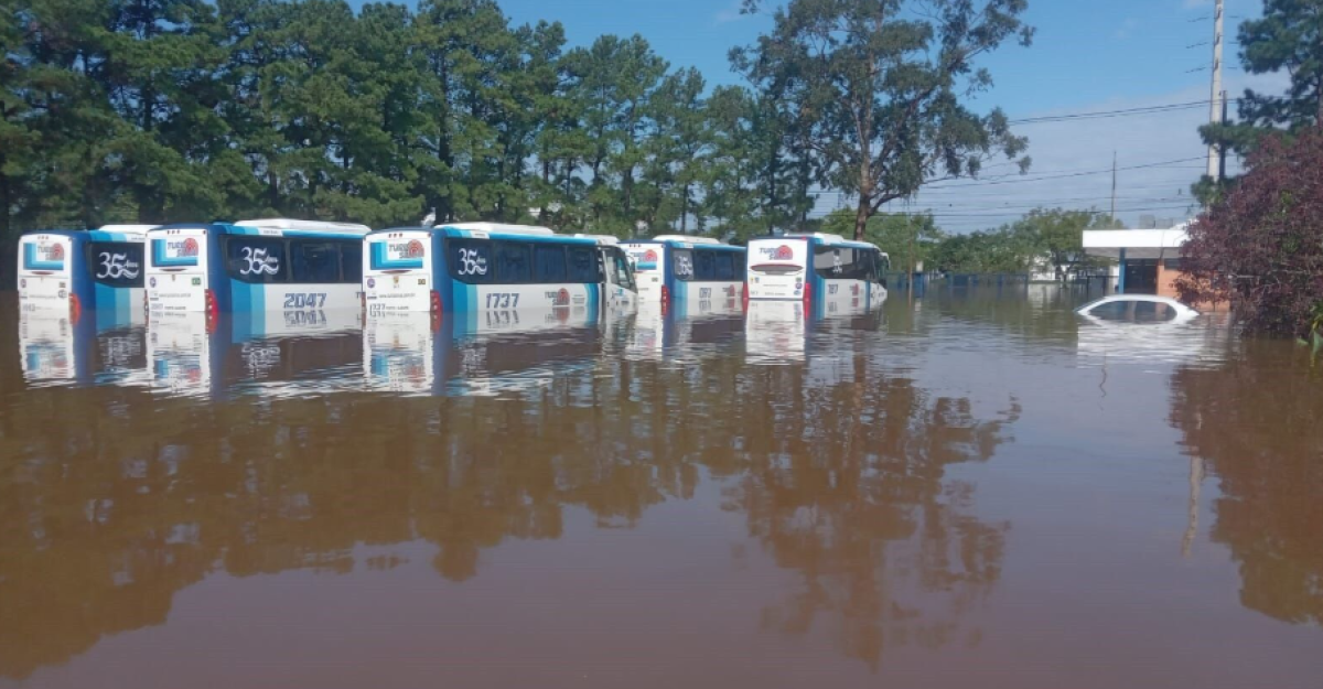 Em meio ao caos, a resignação, a resiliência e a superação