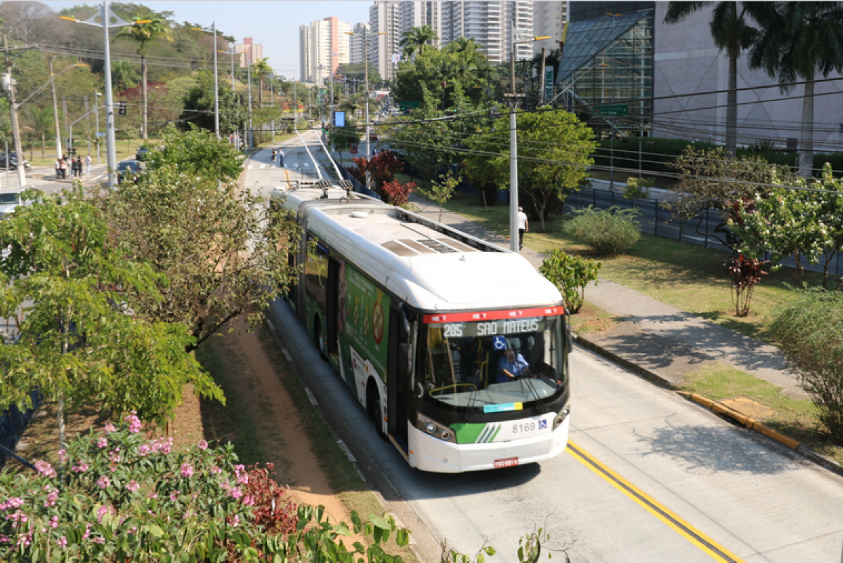 Primeira Floresta Urbana Linear em corredor de ônibus