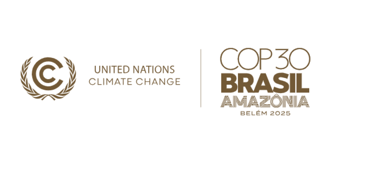 A IMPORTÂNCIA DO TRANSPORTE NOS DEBATES DA COP 30